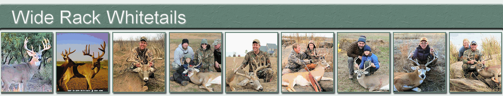 R&P Whitetails Photo Galery