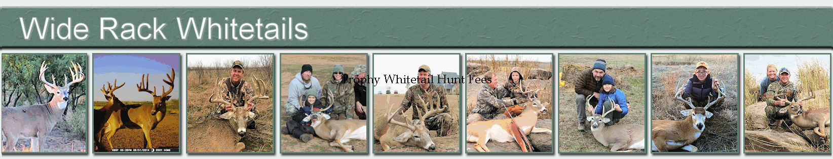 Trophy Whitetail Hunt Fees