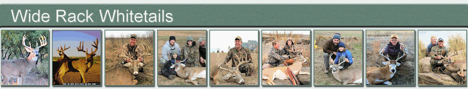 R&P Whitetails 2015 Fawns
